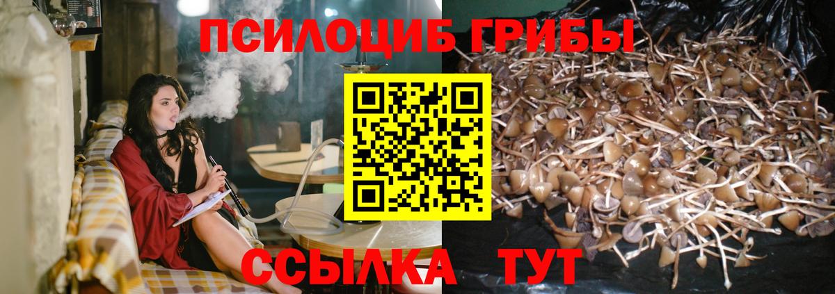 Галлюциногенные грибы Cubensis  Псилоцибиновые грибы прущие грибы  Вход с VPN  Изобильный 